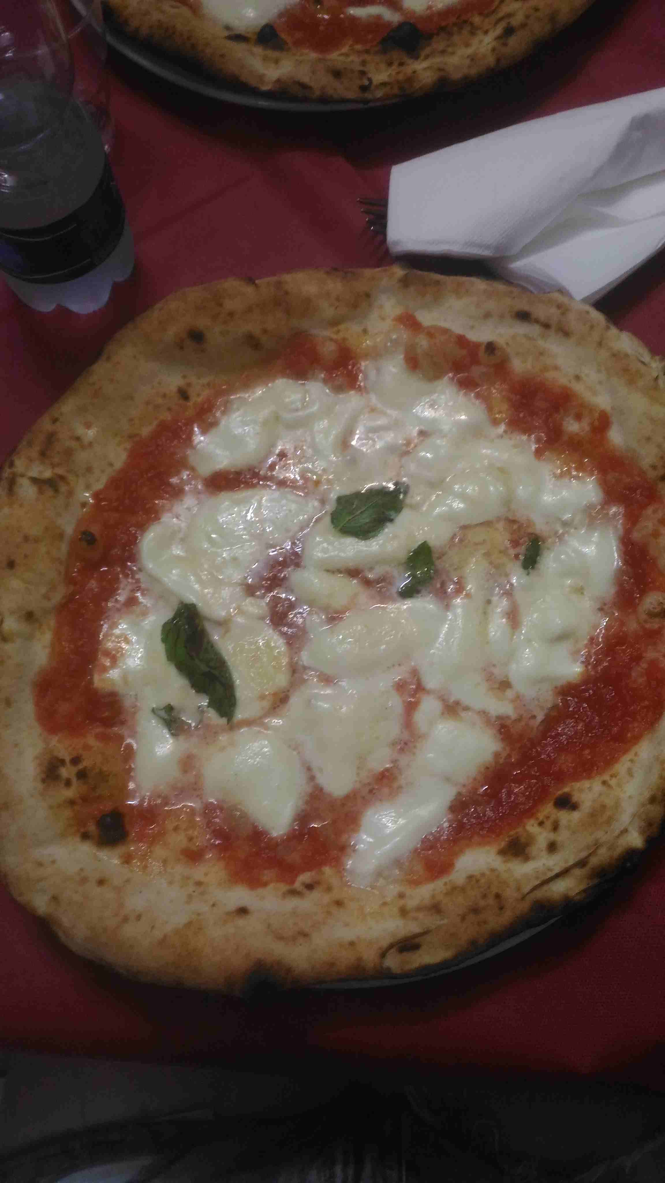 A margherita with lots of mozzarella.