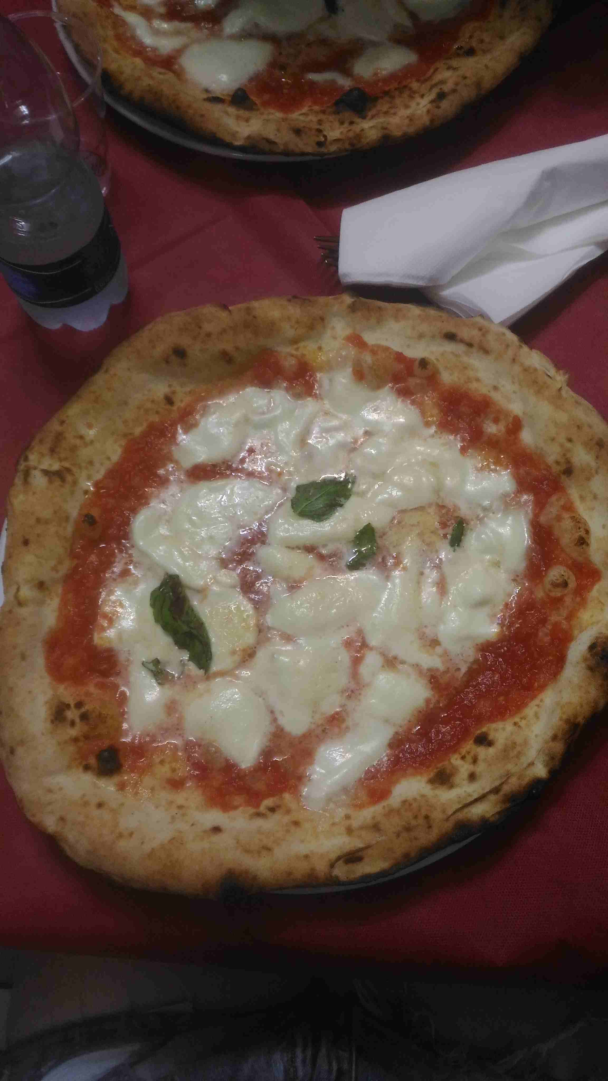 A margherita with lots of mozzarella.